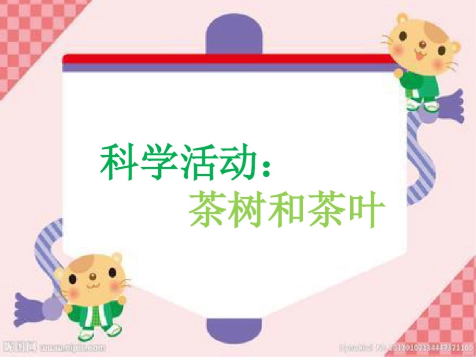 中班科学《茶树和茶叶》_第1页