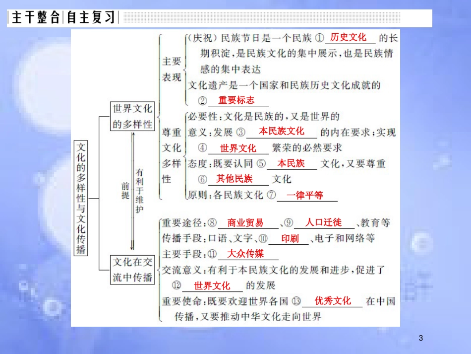 高考政治一轮复习 第二单元 文化传承与创新 课时1 文化的多样性与文化传播课件 新人教版必修3_第3页