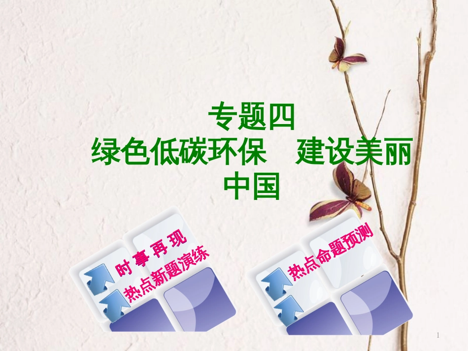 （湖南专版）中考政治专题四绿色低碳环保建设美丽中国复习课件_第1页