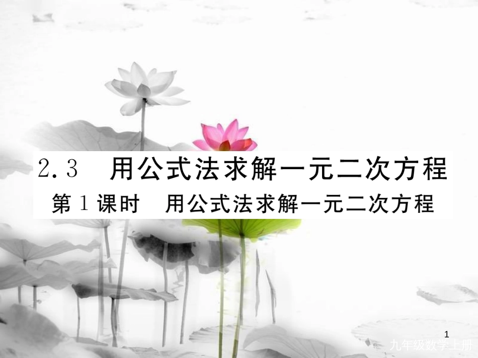 （河南专用）九年级数学上册2.3用公式法求解一元二次方程第1课时用公式法求解一元二次方程作业课件（新版）北师大版_第1页