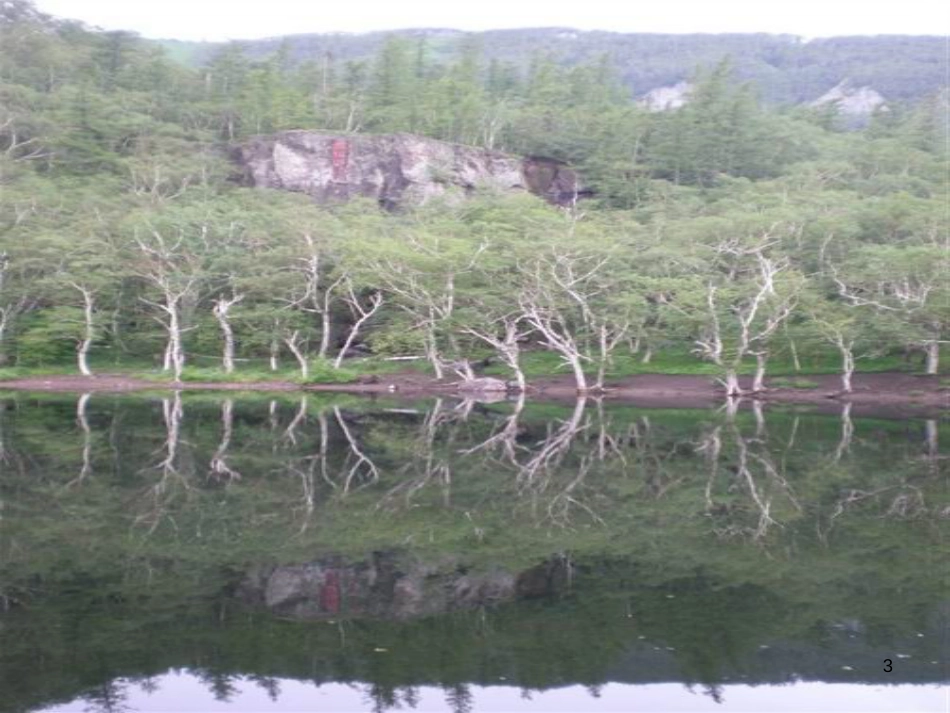 高中语文 第四专题之《神的一滴》课件 苏教版必修1_第3页