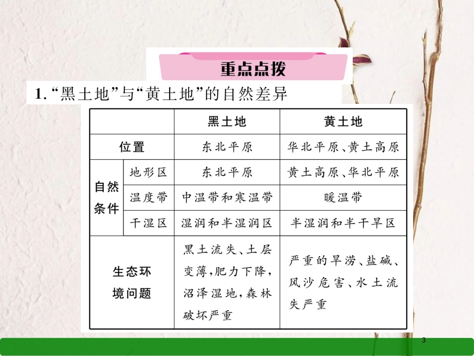 湖北省襄阳市中考地理 第20讲 北方地区自然特征与农业复习课件1_第3页