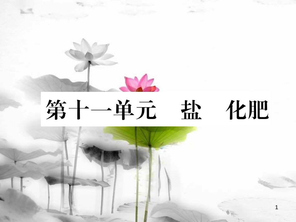 （云南专版）中考化学总复习 第一编 第11单元 盐 化肥（精练）课件_第1页
