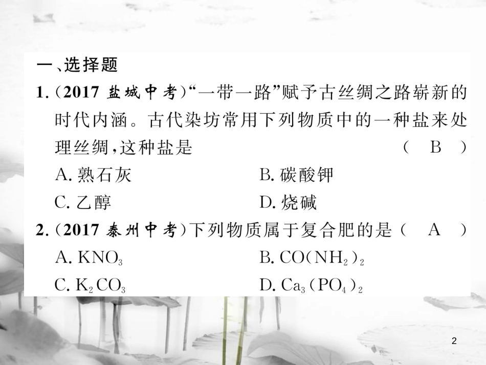 （云南专版）中考化学总复习 第一编 第11单元 盐 化肥（精练）课件_第2页
