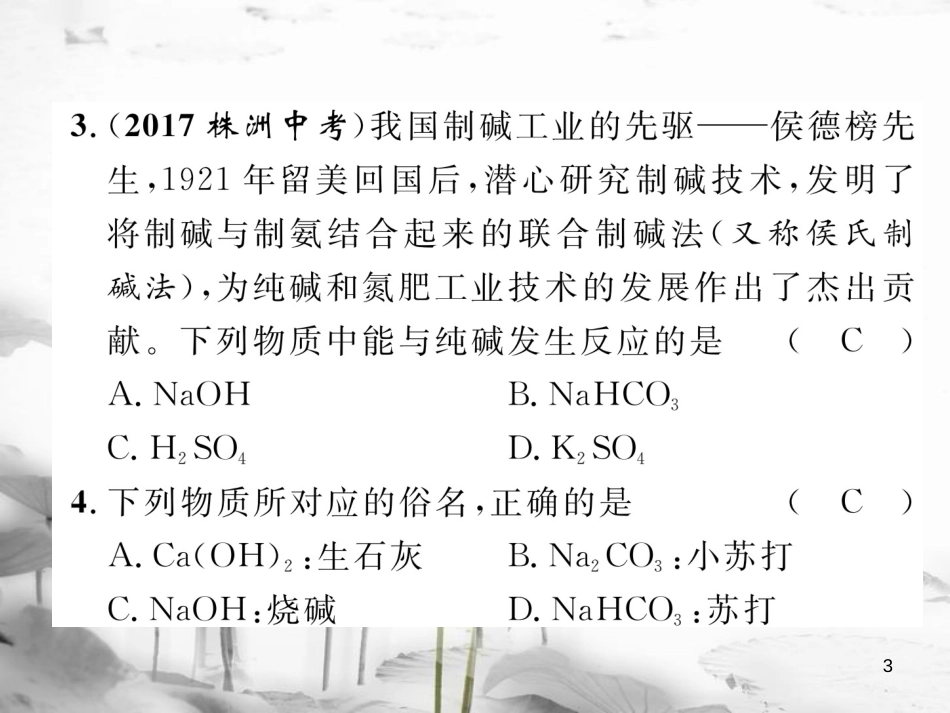（云南专版）中考化学总复习 第一编 第11单元 盐 化肥（精练）课件_第3页