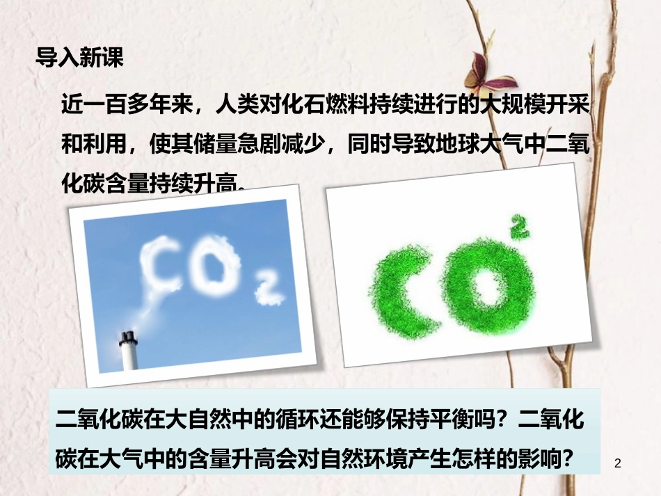 九年级化学上册 第6单元 燃烧与燃料 第三节 大自然中的二氧化碳课件1 （新版）鲁教版_第2页