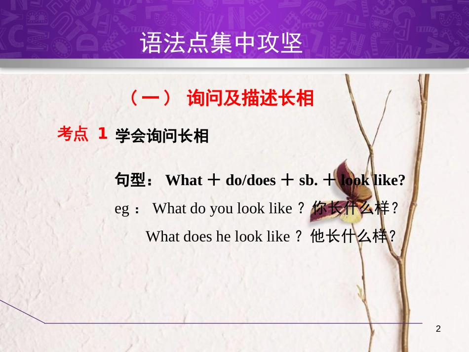 七年级英语下册 Unit 9 What does he look like语法写作课件 （新版）人教新目标版_第2页