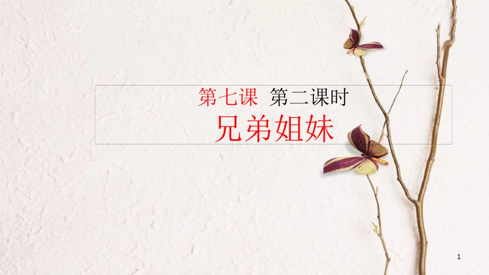 江西省定南县八年级政治下册 第三单元 在同一片土地上 7《中华民族大家庭》（第2课时 兄弟姐妹）课件 教科版_第1页