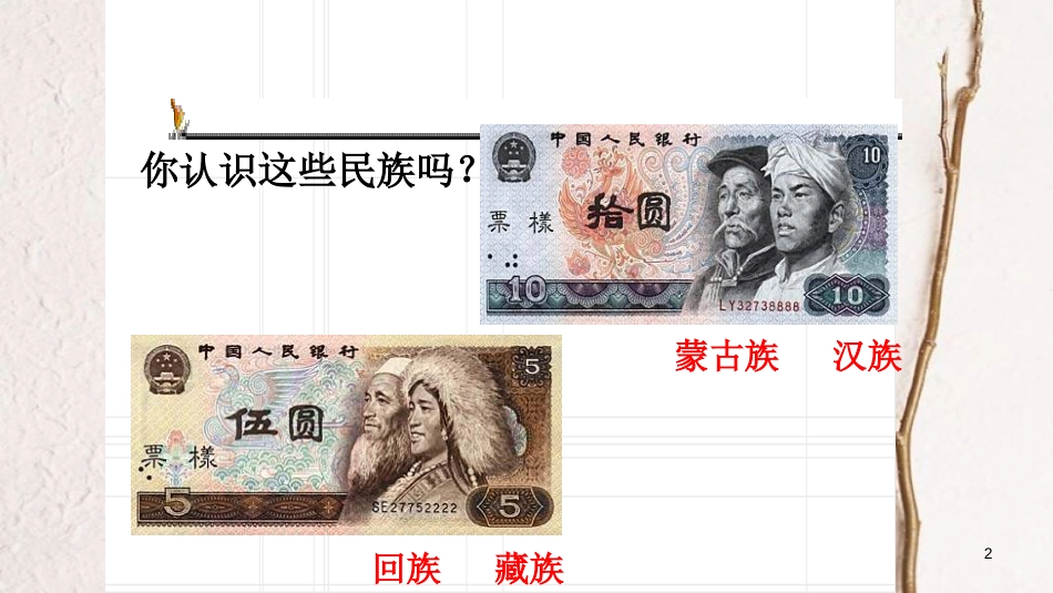 江西省定南县八年级政治下册 第三单元 在同一片土地上 7《中华民族大家庭》（第2课时 兄弟姐妹）课件 教科版_第2页