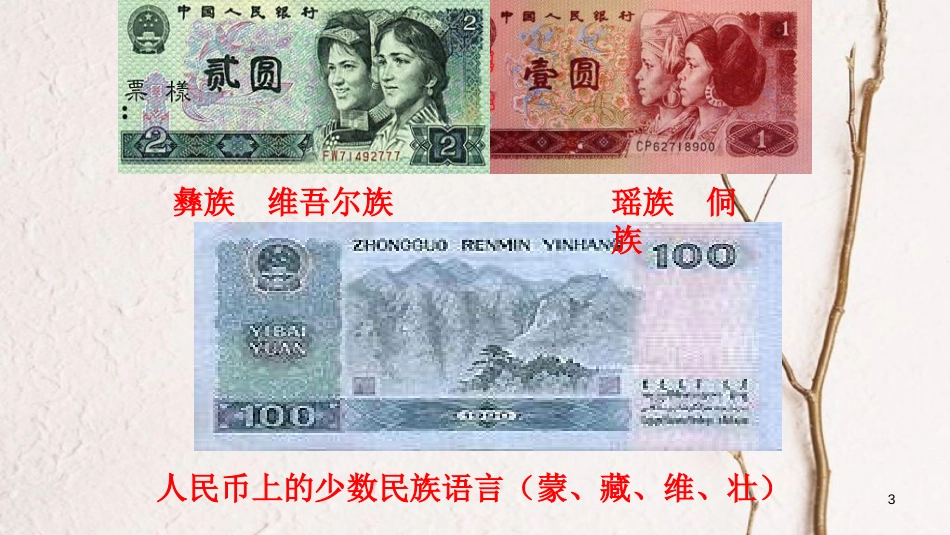 江西省定南县八年级政治下册 第三单元 在同一片土地上 7《中华民族大家庭》（第2课时 兄弟姐妹）课件 教科版_第3页