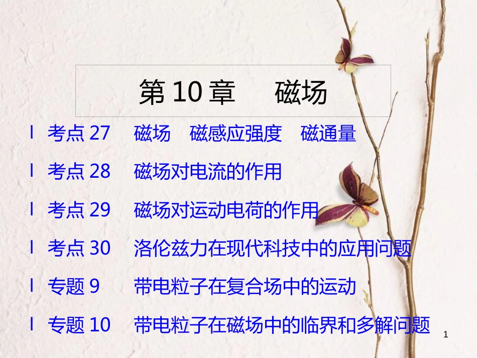 （A版）2019版高考物理一轮复习考点考法第10章磁场课件新人教版_第1页