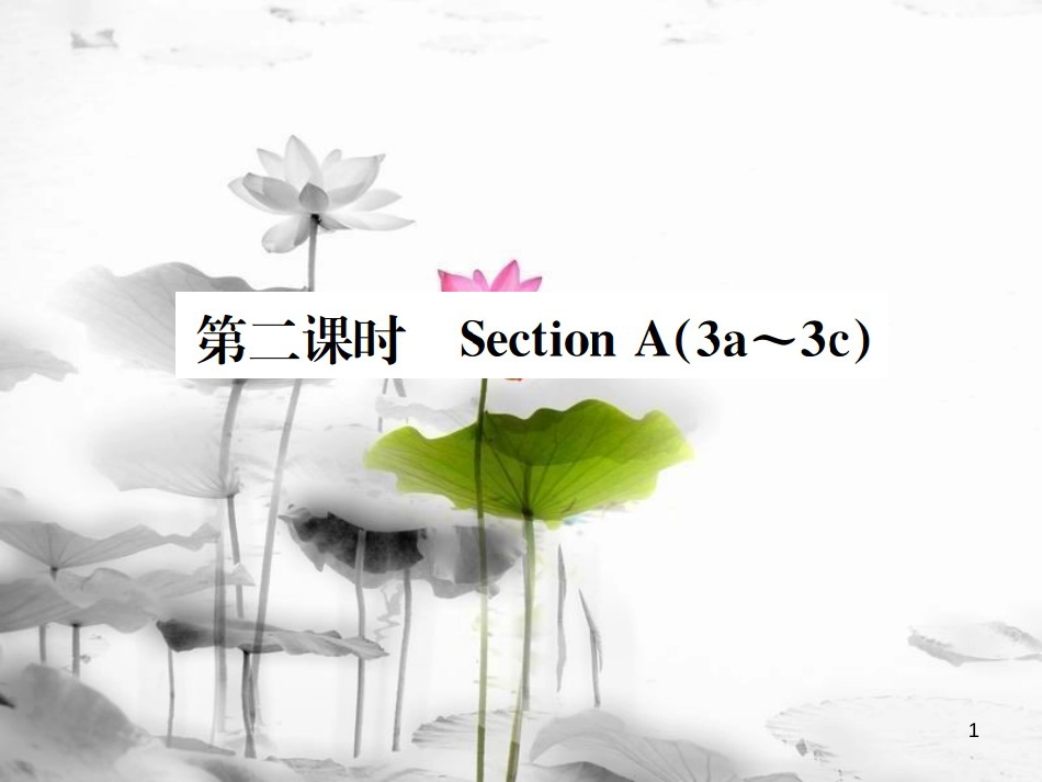 （浙江专版）七年级英语上册 Unit 5 Do you have a soccer ball（第2课时）课件 （新版）人教新目标版_第1页