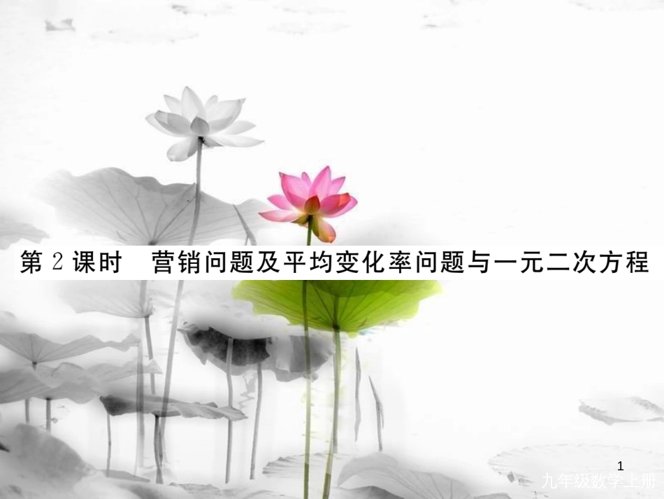 （河南专用）九年级数学上册2.6应用一元二次方程第2课时营销问题及平均变化率问题与一元二次方程作业课件（新版）北师大版_第1页