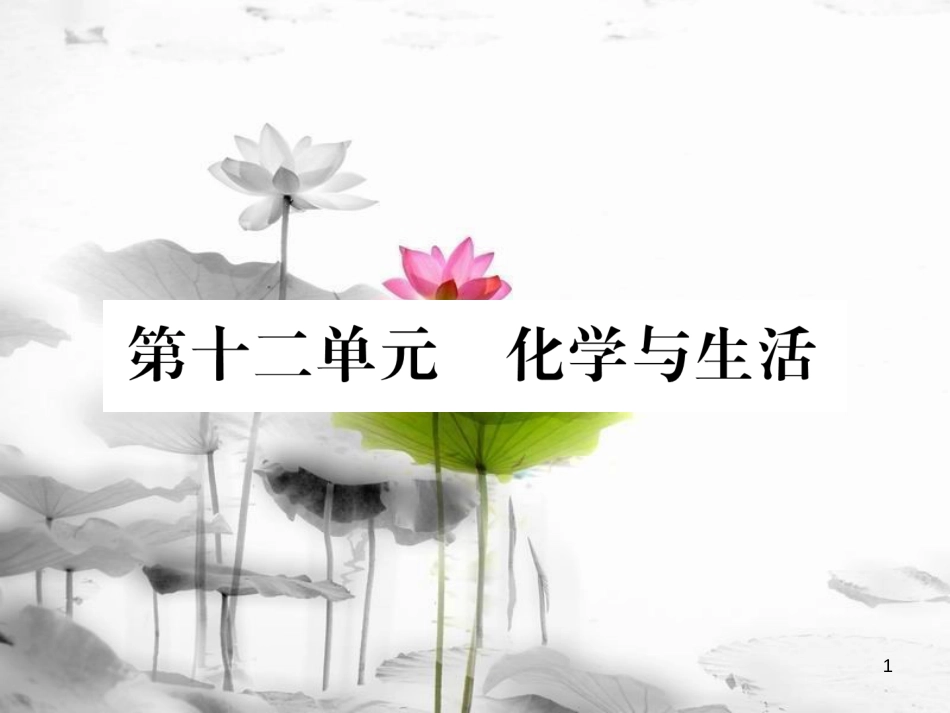（云南专版）中考化学总复习 第一编 第12单元 化学与生活（精练）课件_第1页
