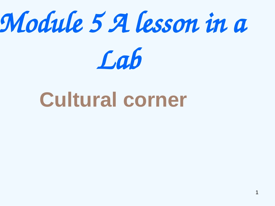 高中英语 module5 cultural corner课件 外研版必修1_第1页