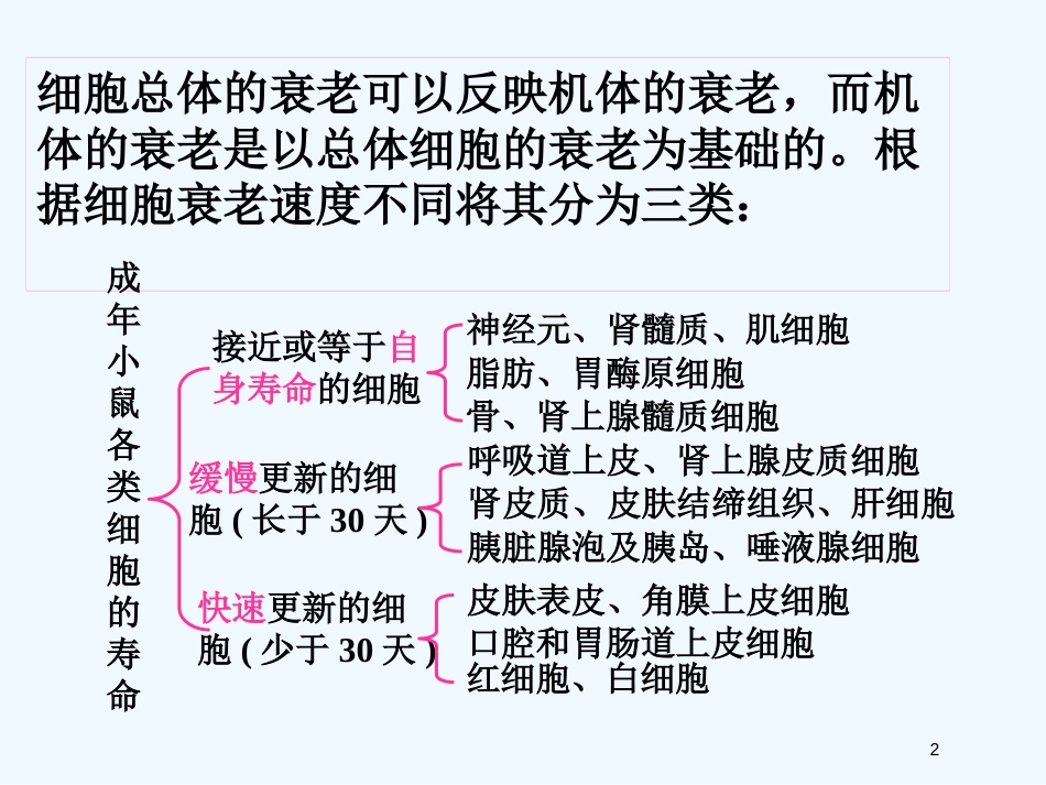 高中生物 第四单元之《细胞衰老》课件 中图版必修1_第2页