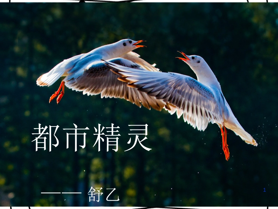 八年级语文上册 第五单元 20《都市精灵》课件2 苏教版_第1页