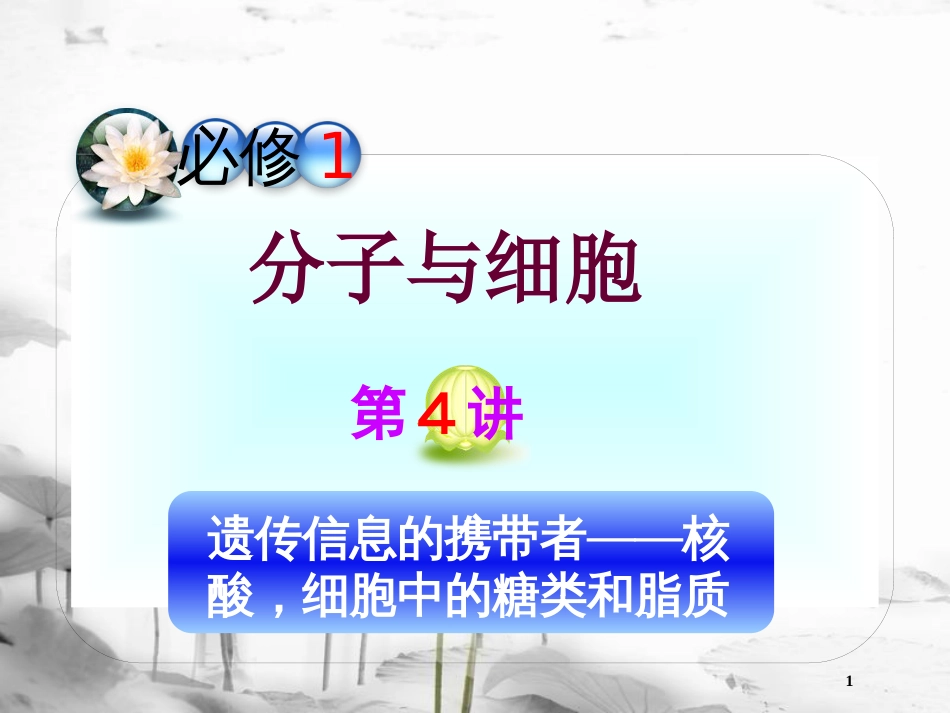 （山西专用）高三生物一轮复习 第4讲 遗传信息的携带者――核酸细胞中的糖类和脂质课件 新人教版必修1_第1页