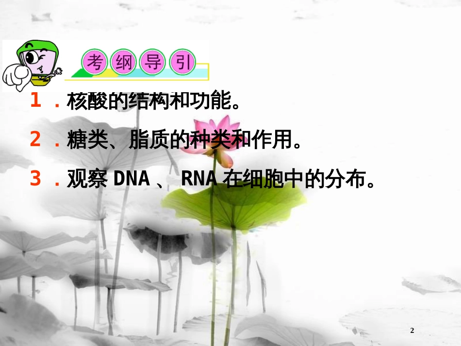 （山西专用）高三生物一轮复习 第4讲 遗传信息的携带者――核酸细胞中的糖类和脂质课件 新人教版必修1_第2页
