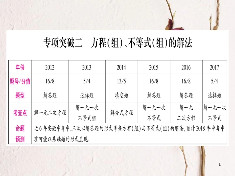 （安徽专版）中考数学总复习第二轮中档题突破专项突破2方程（组）、不等式（组）的解法课件_第1页