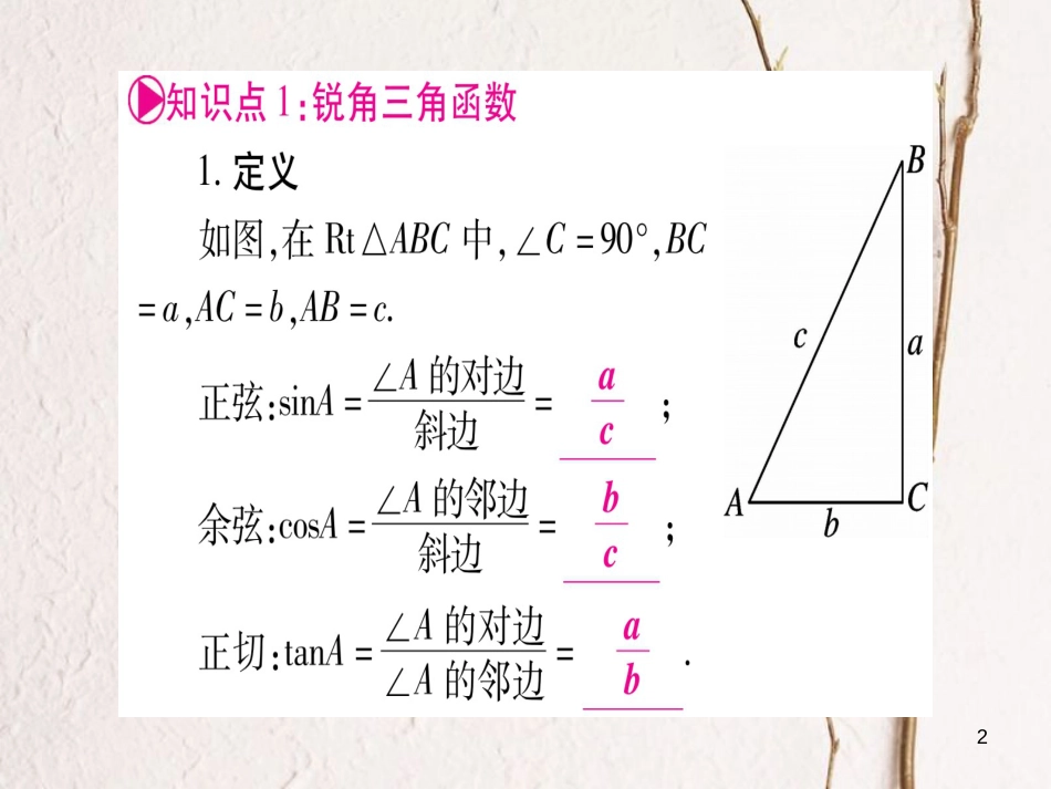 （广西北部湾专版）中考数学总复习第一轮考点系统复习第4章三角形第6节锐角三角函数及其应用课件新人教版_第2页