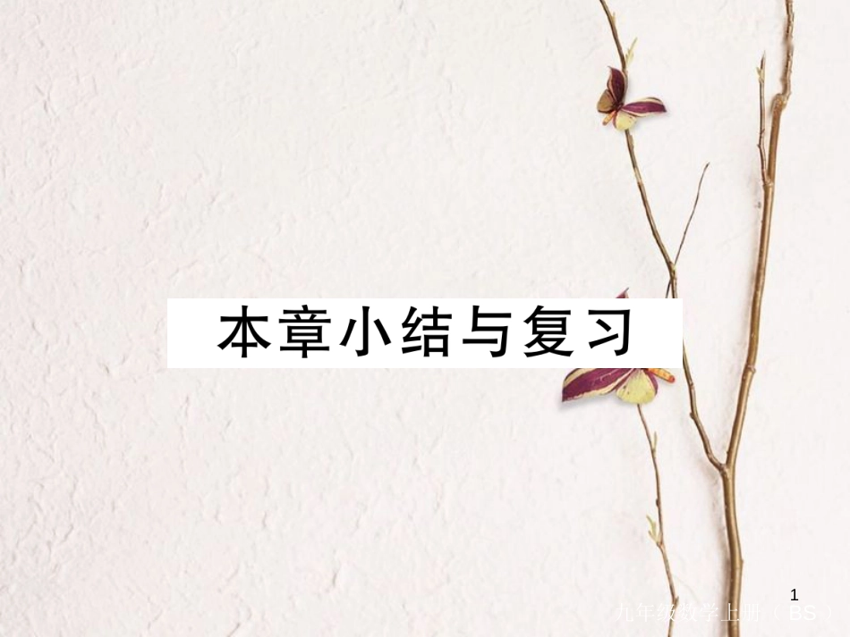 （河南专版）九年级数学上册第四章图形的相似本章小结与复习习题讲评课件（新版）北师大版_第1页