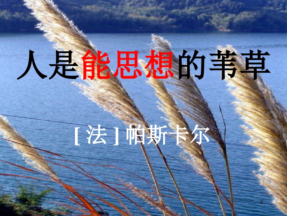 高中语文 第四专题之《人是能思想的苇草》课件 苏教版必修5_第2页