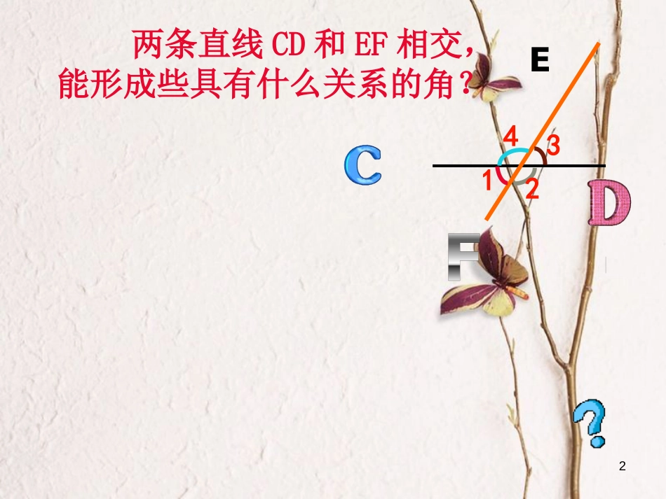 七年级数学上册 5.1 相交线 5.1.3 同位角、内错角、同旁内角教学课件2 （新版）华东师大版_第2页