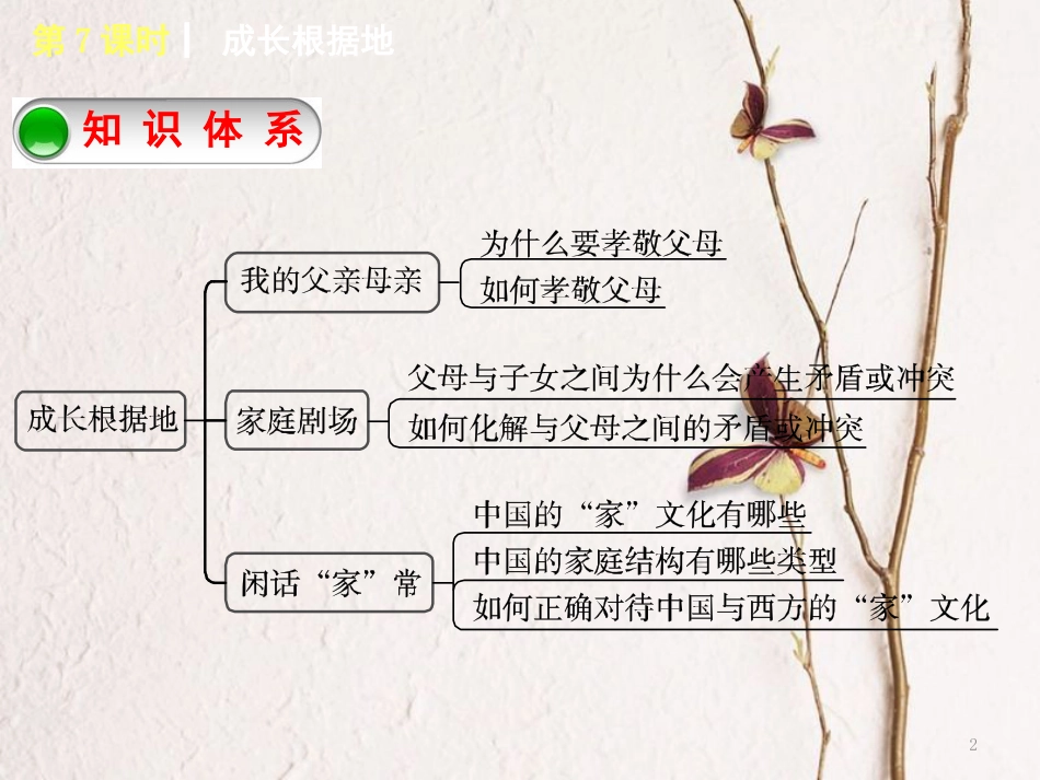 （湖南专版）中考政治教材梳理第二部分八年级第7课时成长根据地复习课件_第2页