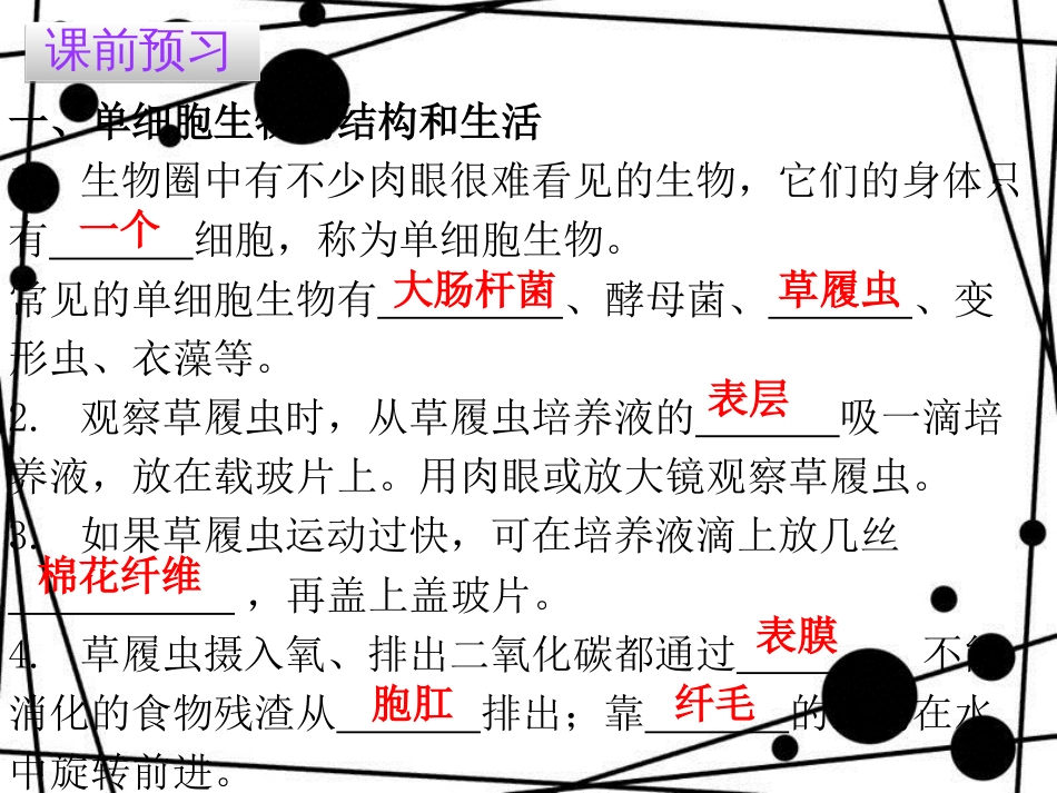 七年级生物上册 第二单元 第二章 第四节 单细胞生物课件 （新版）新人教版_第3页