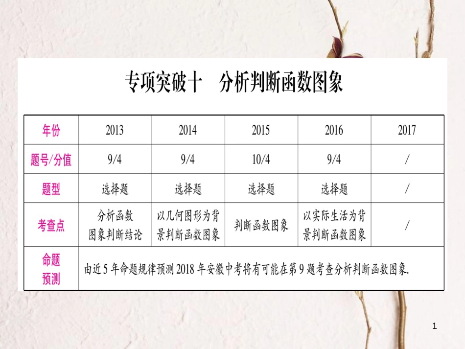 （安徽专版）中考数学总复习第二轮中档题突破专项突破10分析判断函数图象课件_第1页