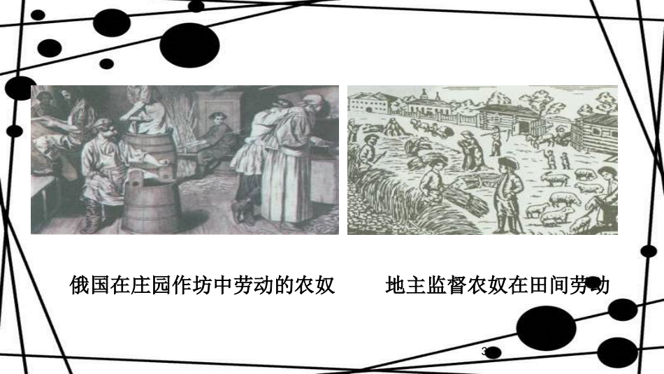 九年级历史上册 第5单元 资产阶级统治的巩固和扩大 第16课 俄国农奴制改革教学课件 中华书局版_第3页