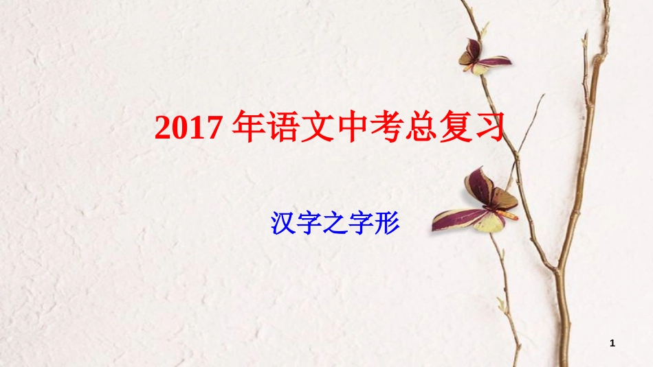 湖北省宜昌市中考语文总复习 第1部分 专题2 字形课件_第1页