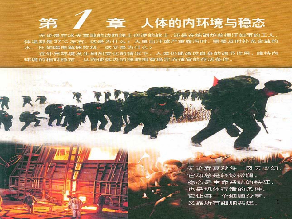 高中生物细胞生活的环境课件人教版必修3_第1页