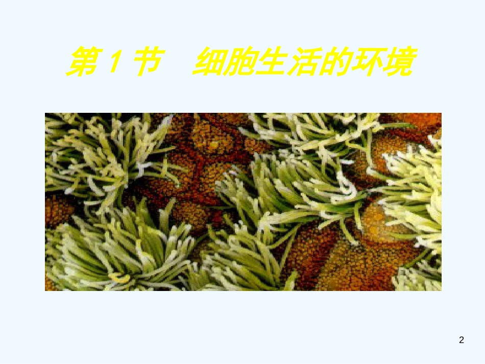高中生物细胞生活的环境课件人教版必修3_第2页