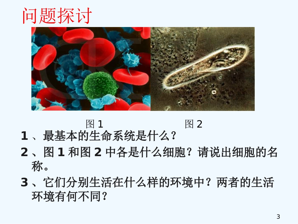 高中生物细胞生活的环境课件人教版必修3_第3页