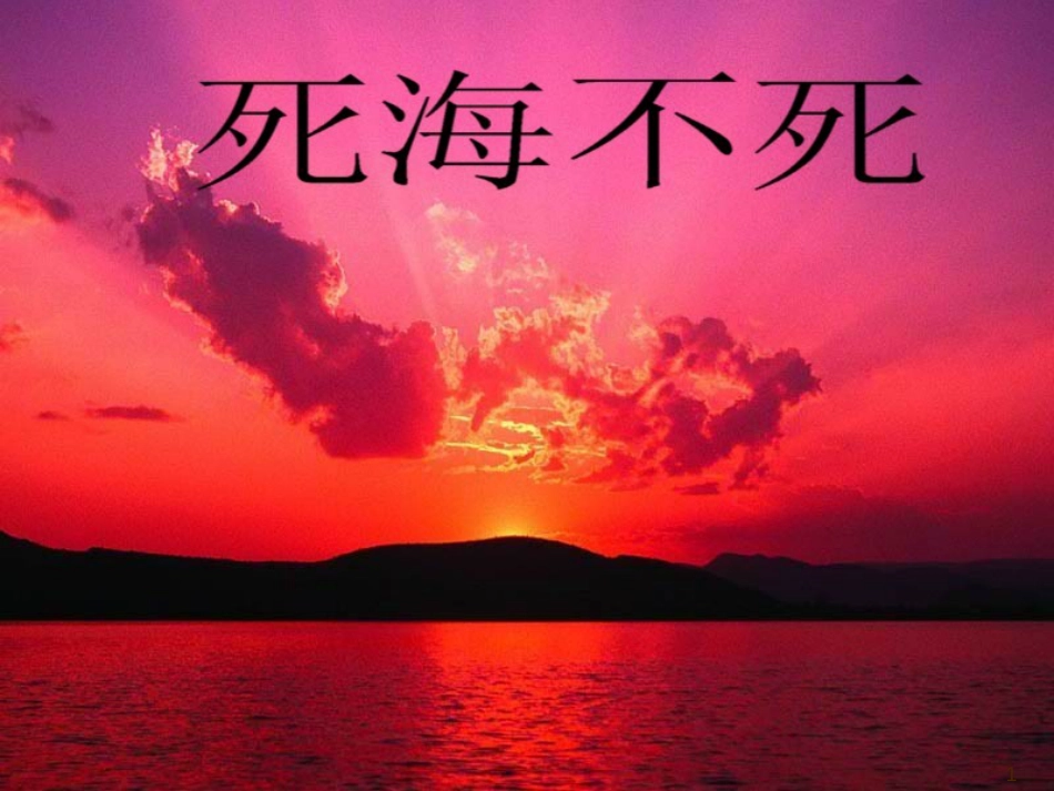 黑龙江省虎林市八五零农场学校七年级语文上册 死海不死课件 新人教版_第1页