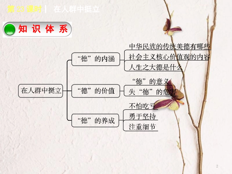 （湖南专版）中考政治教材梳理第四部分九年级第23课时在人群中挺立复习课件_第2页