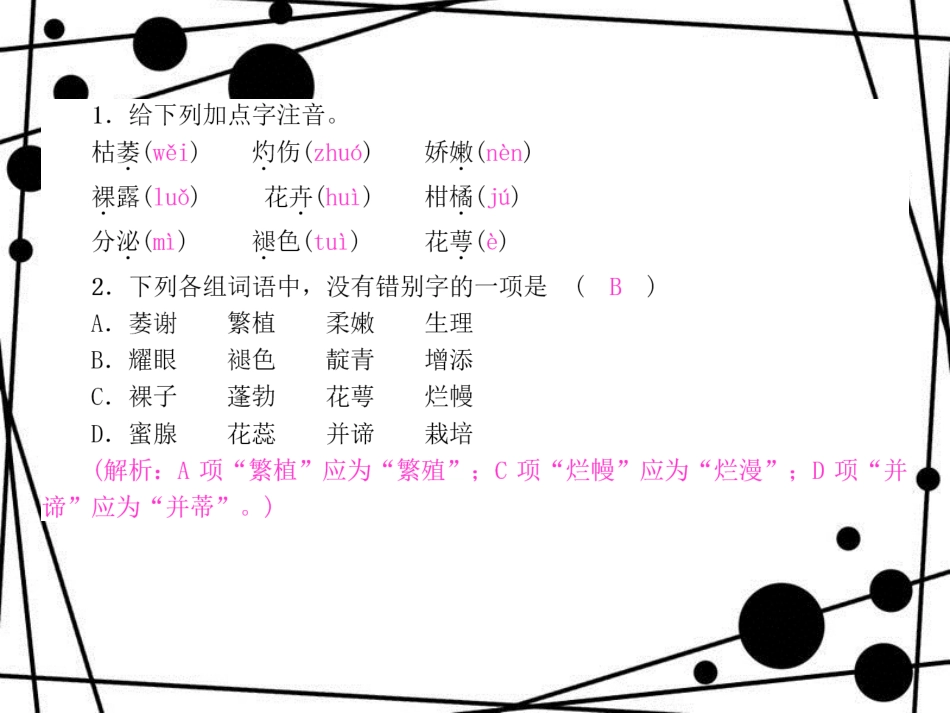 八年级语文上册 第四单元 14 花儿为什么这样红习题课件 语文版_第2页