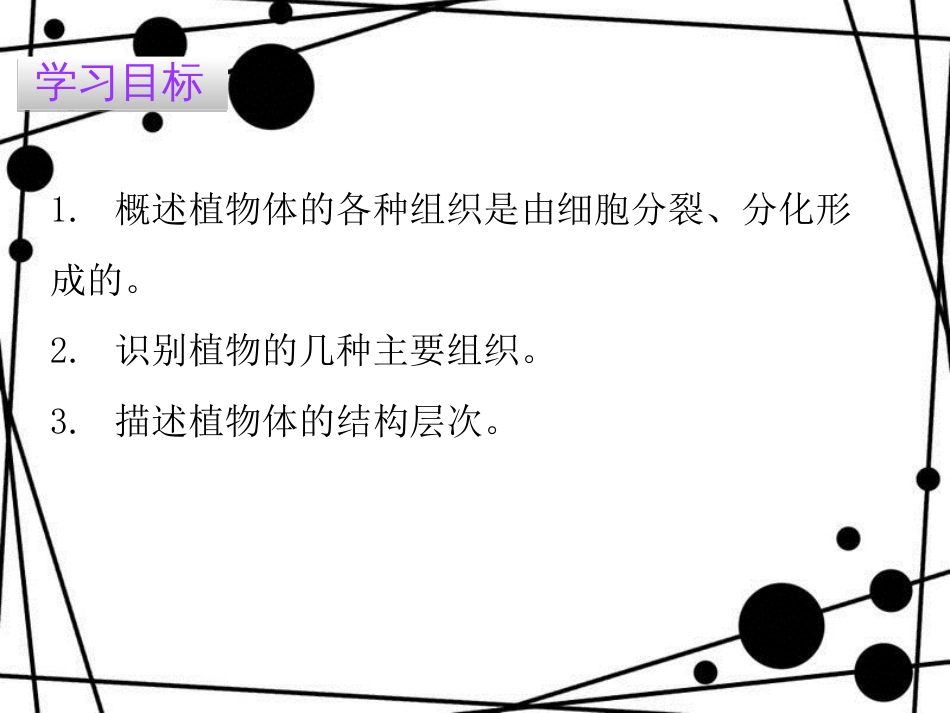 七年级生物上册 第二单元 第二章 第三节 植物体的结构层次课件 （新版）新人教版_第2页