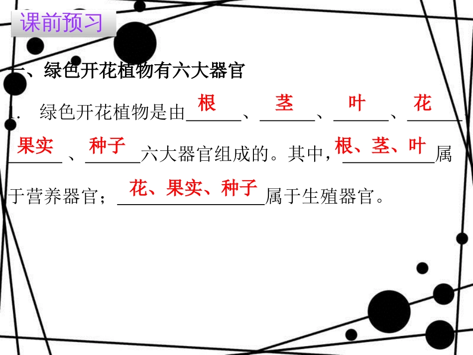 七年级生物上册 第二单元 第二章 第三节 植物体的结构层次课件 （新版）新人教版_第3页