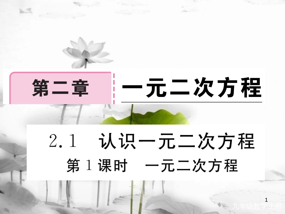 （河南专用）九年级数学上册2.1认识一元二次方程第1课时一元二次方程作业课件（新版）北师大版_第1页