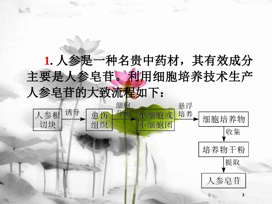 （山西专用）高三生物一轮复习 第35讲 植物的组织培养技术课件 新人教版选修1_第3页