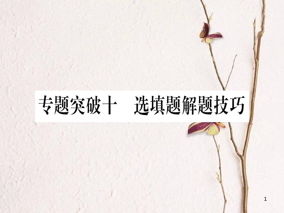 （湖南专版）中考数学总复习第二轮湖南中档题突破专项突破10选择题解题技巧课件_第1页