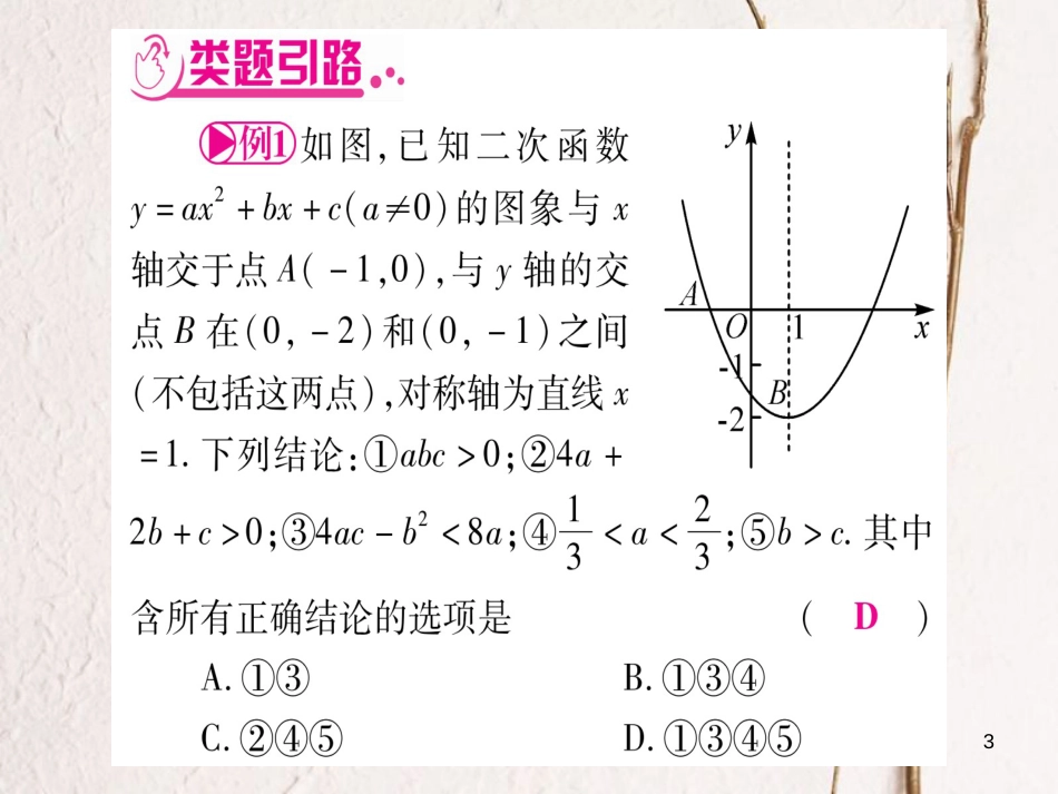 （湖南专版）中考数学总复习第二轮湖南中档题突破专项突破10选择题解题技巧课件_第3页
