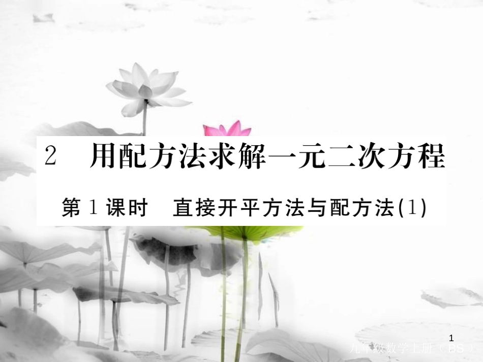 （江西专用）九年级数学上册2.2用配方法求解一元二次方程第1课时直接开平方法与配方法（1）讲练课件（新版）北师大版_第1页