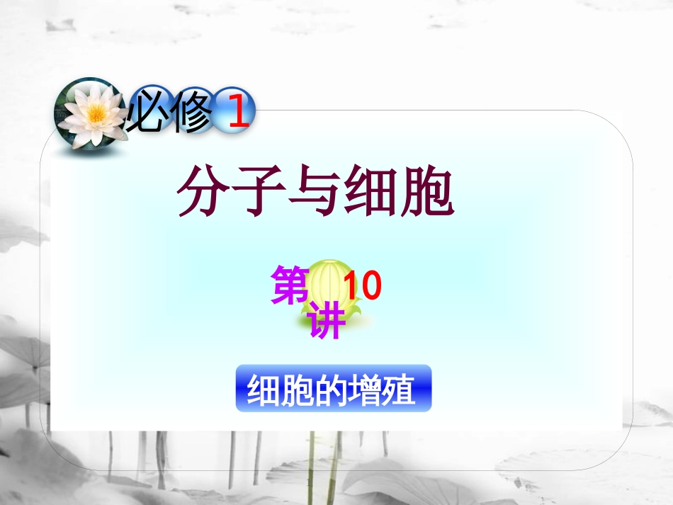 （山西专用）高三生物一轮复习 第10讲 细胞的增殖课件 新人教版必修1_第1页