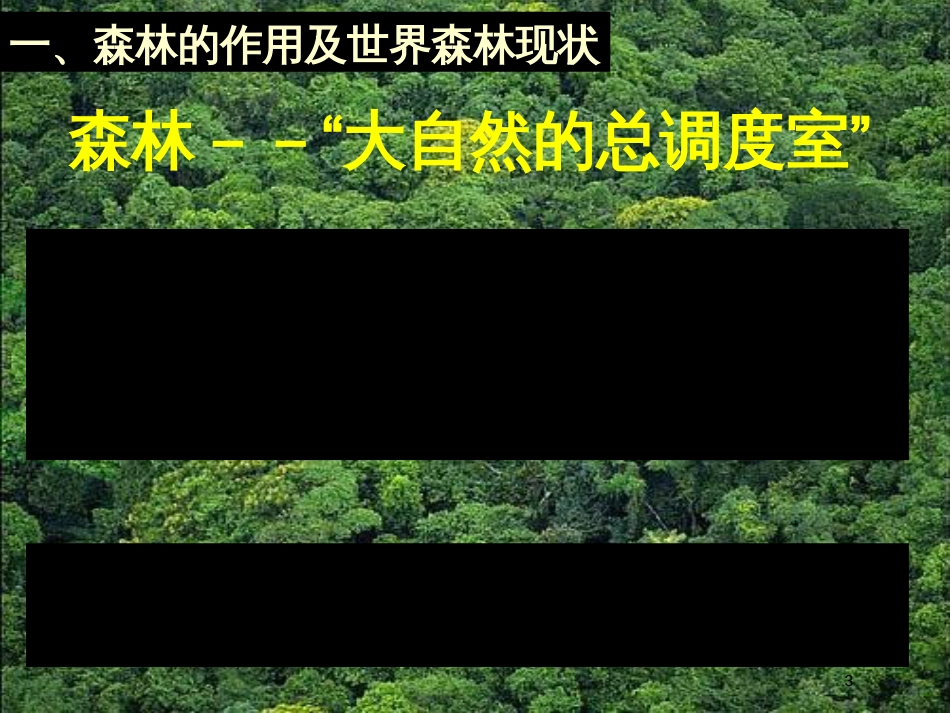 高中地理《森林的开发和保护—以亚马孙热带雨林为例》课件6 人教版必修3_第3页