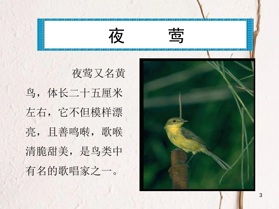 四年级语文下册 第4单元 13.夜莺的歌声课件1 新人教版_第3页