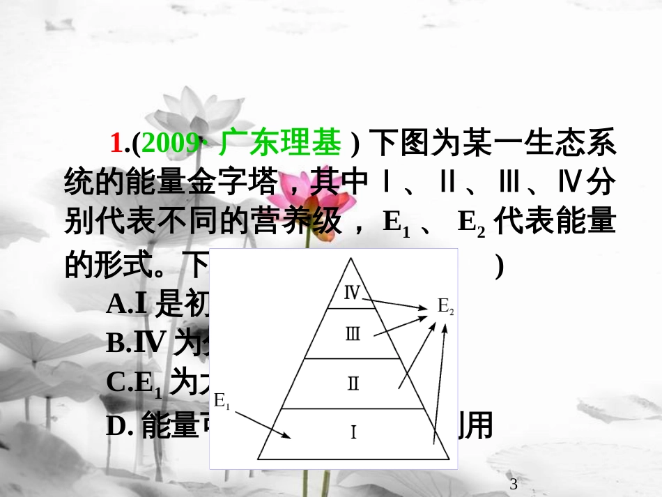 （山西专用）高三生物一轮复习 第30讲 生态系统的能量流动和物质循环课件 新人教版必修3_第3页